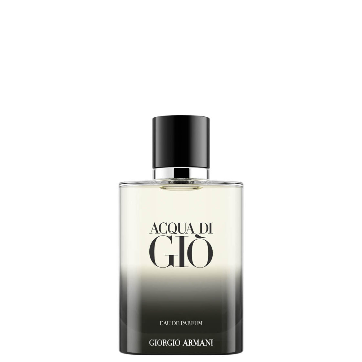 GIORGIO ARMANI ACQUA DI GIO (M) EDP 100ML perfume bottle front view