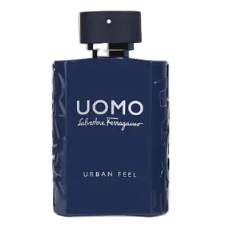 S.F FERRAGAMO UOMO URBAN FEEL (M) EDT 100ML perfume bottle front view