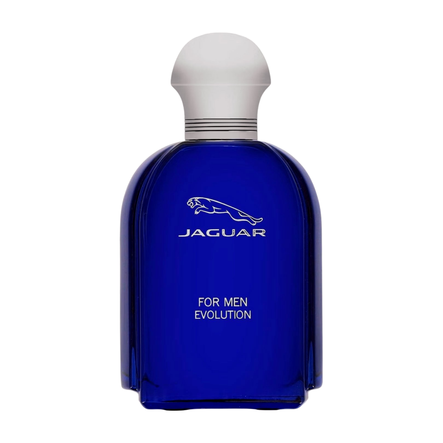 JAGUAR EVOLUTION (M) EDT 100ML perfume bottle front view