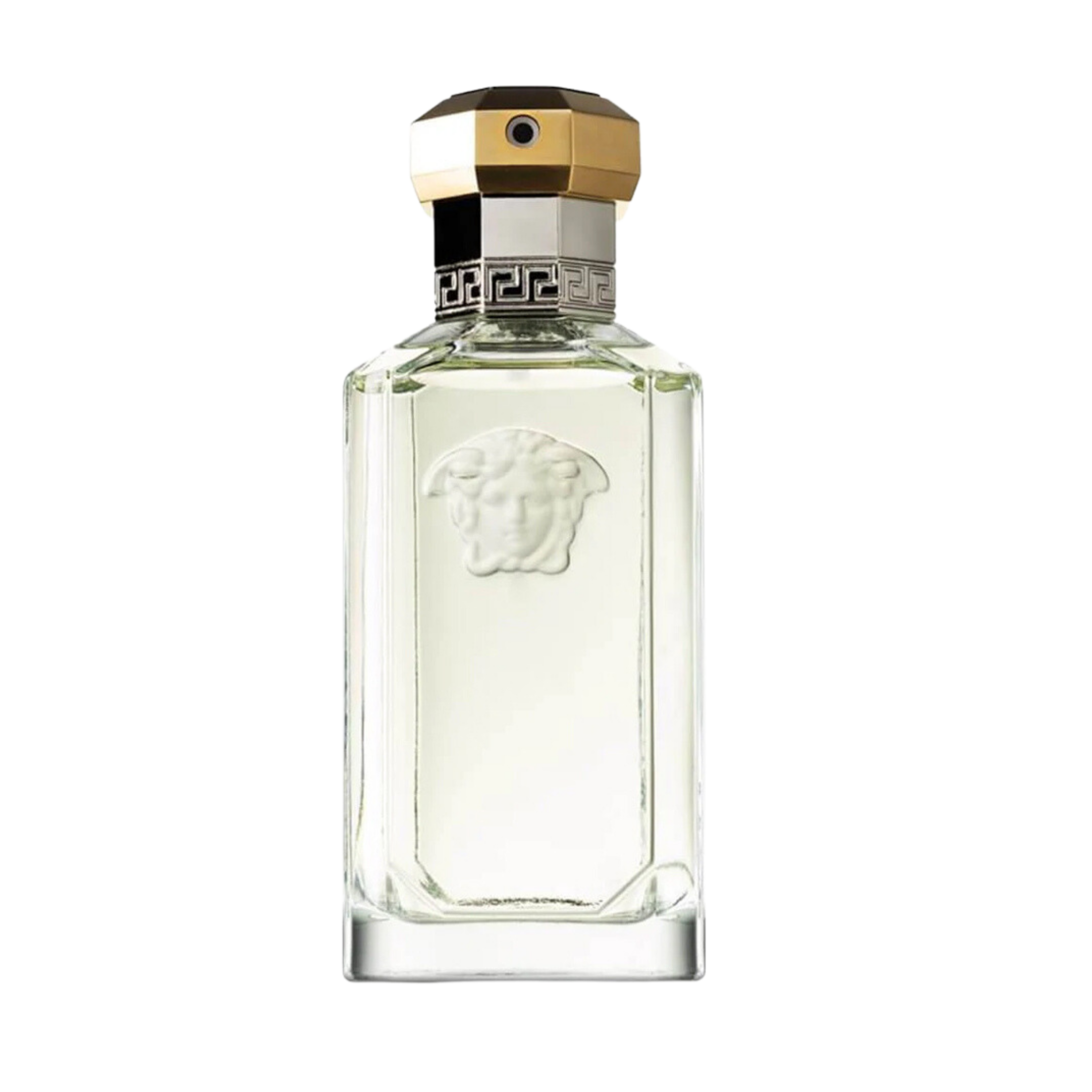 VERSACE THE DREAMER (M) EDT 100ML perfume bottle front view