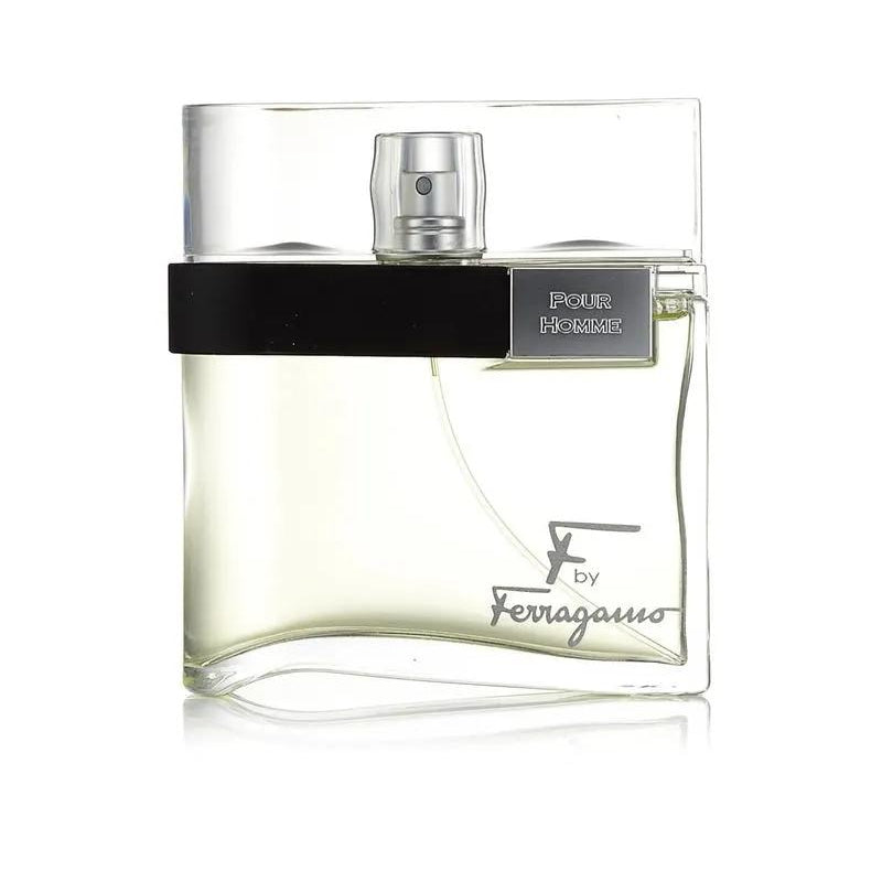 S.F FERRAGAMO F BY (M) EDT 100ML perfume bottle front view